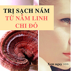 ban-cung-co-the-tri-het-nam-da-voi-kem-tri-nam-den-tu-linh-chi-do
